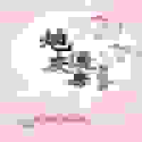 炮灰通房要逆袭