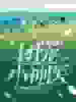 重生八零团宠小神医