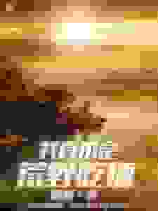 我真不是荒野吃播