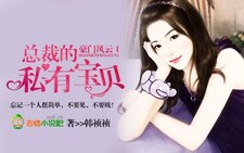 豪门风云总裁的私有宝贝