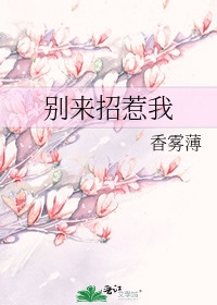 别来招惹我