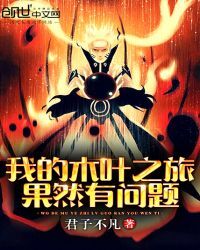 我的木叶之旅果然有问题