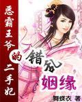 错乱姻缘：恶霸王爷的二手妃
