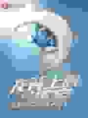 龙背上的训练家