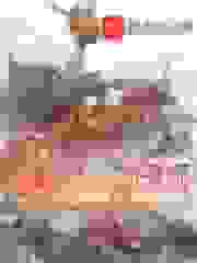 我的船全是动漫姬