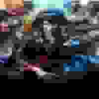 都市至尊仙医陈飞宇苏映雪