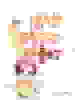 福气包带着空间重生了